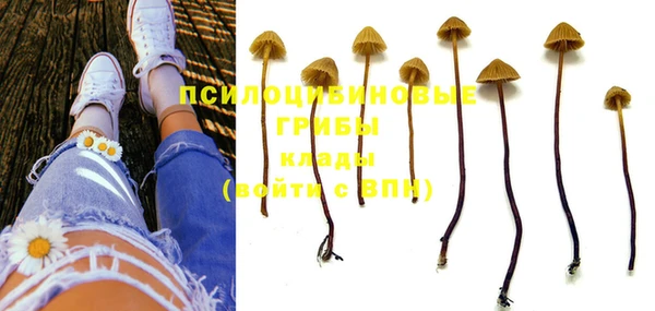 спайс Нефтекумск