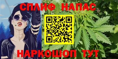 шишки Апшеронск