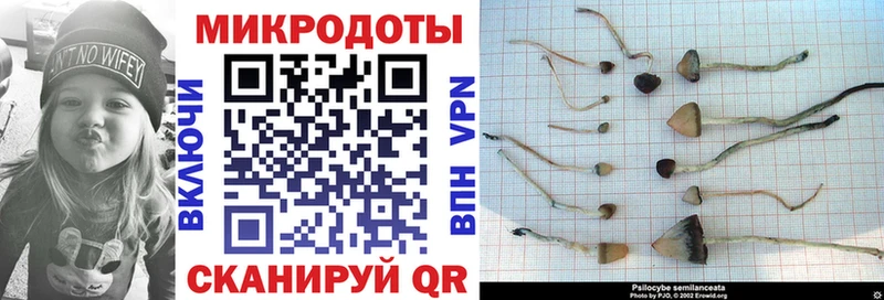 Псилоцибиновые грибы GOLDEN TEACHER  где можно купить   mega онион  Заволжье 