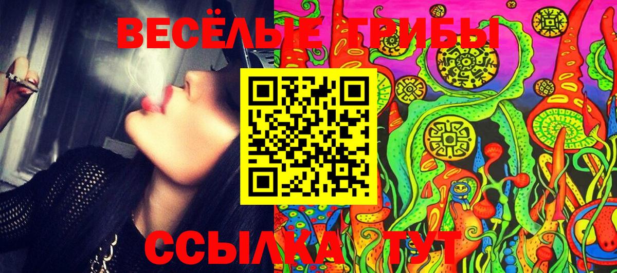Галлюциногенные грибы ЛСД  Галлюциногенные грибы Psilocybe  купить  сайты  Заволжье  Вход с VPN 