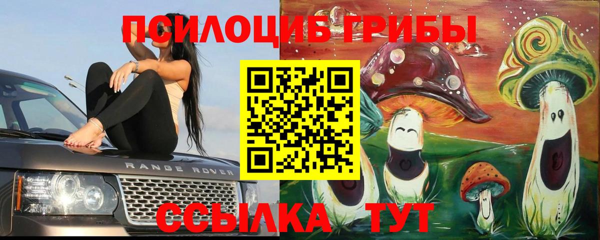 Псилоцибиновые грибы MAGIC MUSHROOMS Заволжье