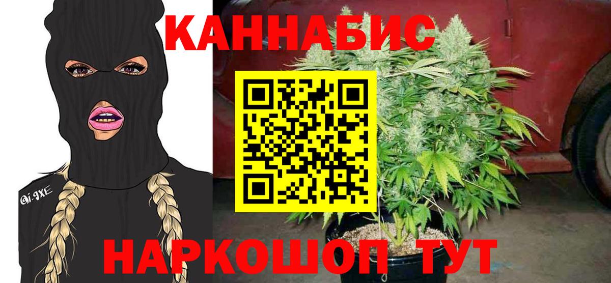 Каннабис сатива Заволжье