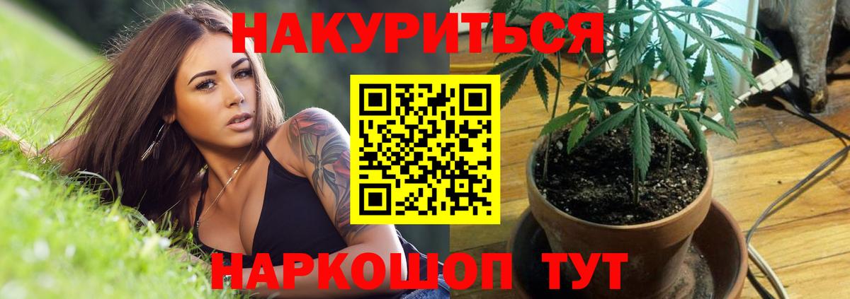 Канабис план Заволжье